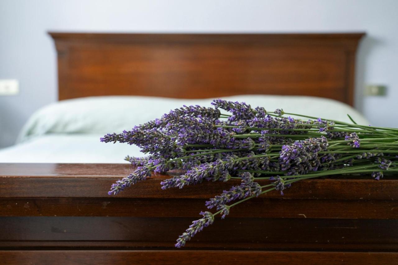Lago Maggiore A 10 Minuti "Cascina Lavanda" Casalzuigno Bagian luar foto