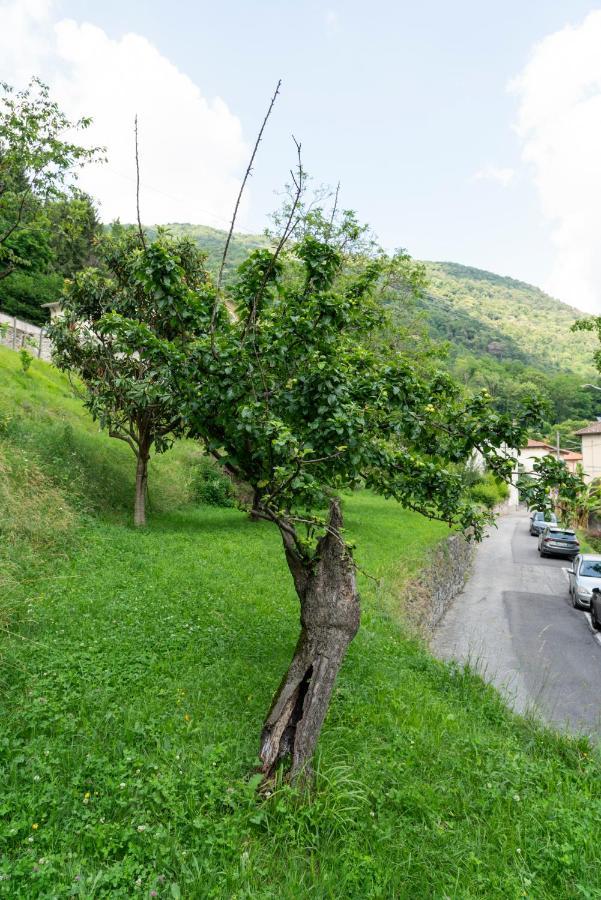 Lago Maggiore A 10 Minuti "Cascina Lavanda" Casalzuigno Bagian luar foto