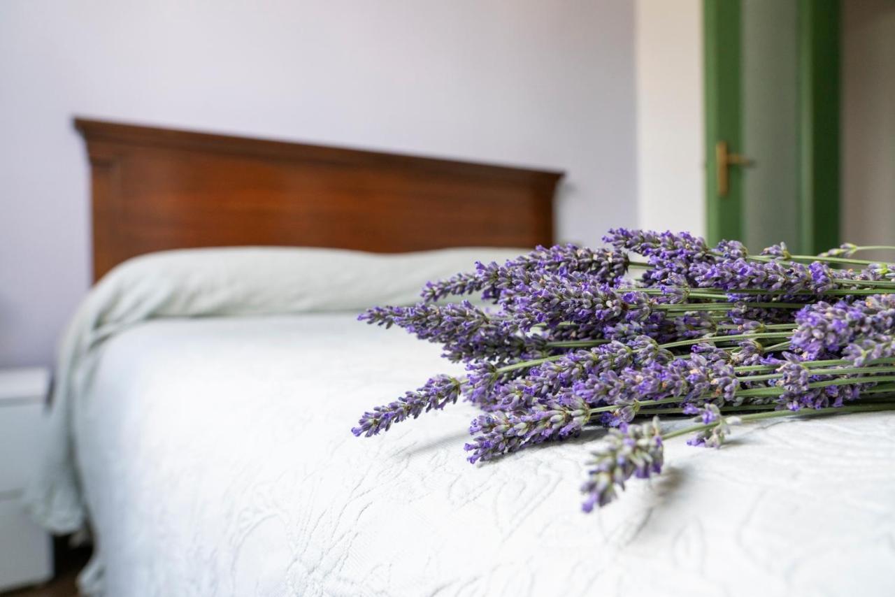 Lago Maggiore A 10 Minuti "Cascina Lavanda" Casalzuigno Bagian luar foto